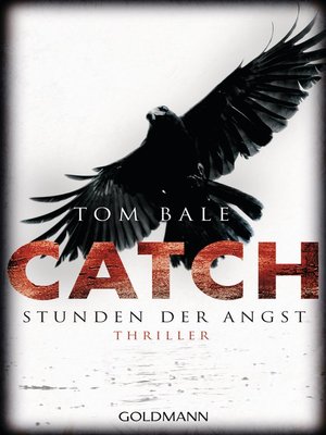 cover image of CATCH--Stunden der Angst